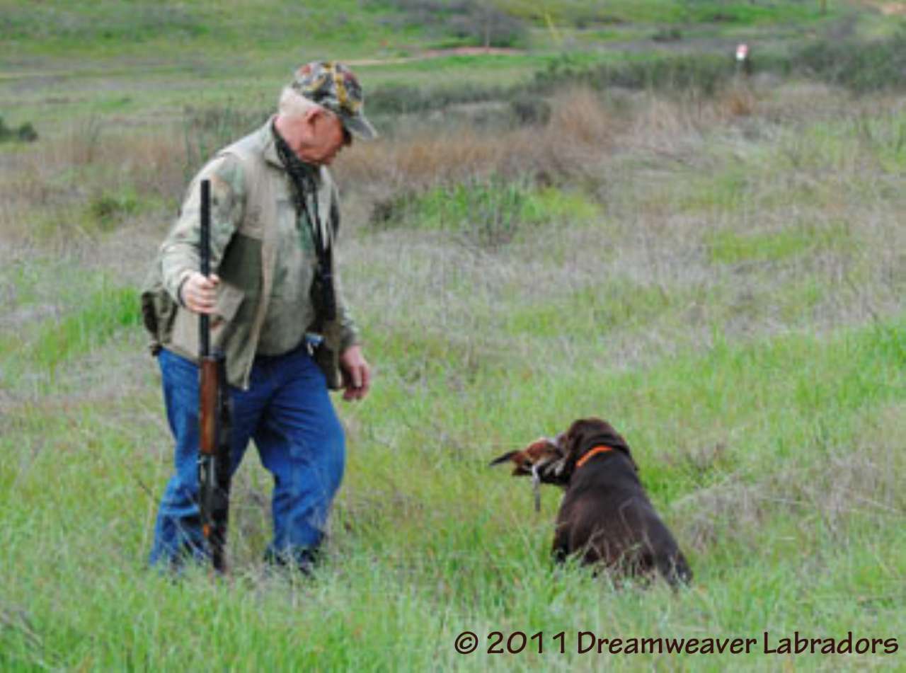 Hunter with Dog